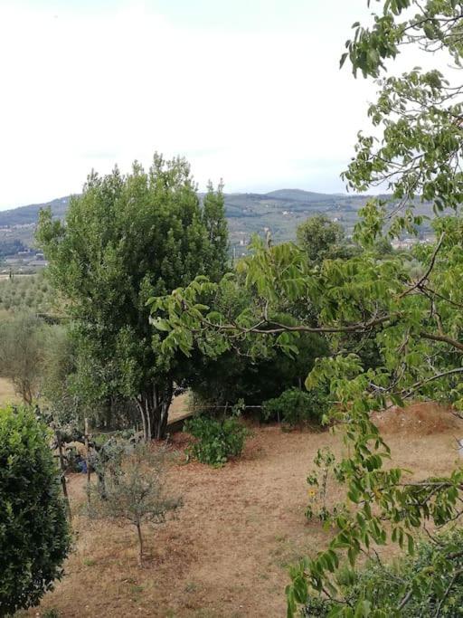 I Rosai Appartamento Sulle Colline Fiorentine Bagno a Ripoli Dış mekan fotoğraf